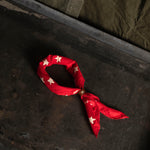 Bandana Ring Bradley Mountain 